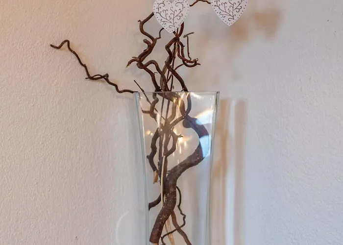 Sonne Im Johanna - Mayrhofen-hippach- In Der Naehe Von Der Skipiste Hippach