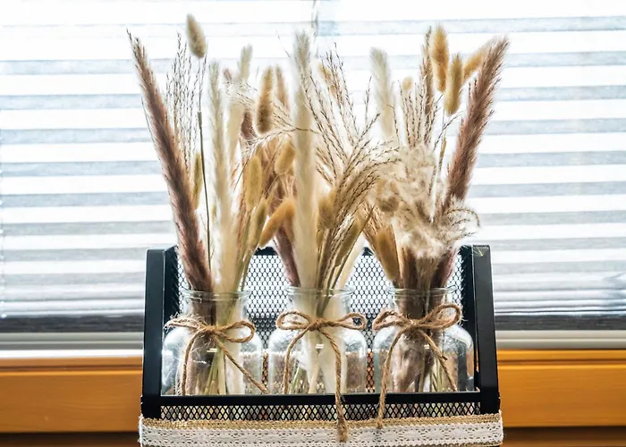 Sonne Im Johanna - Mayrhofen-hippach- In Der Naehe Von Der Skipiste *