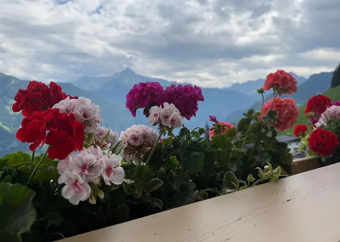 Sonne Im Johanna - Mayrhofen-hippach- In Der Naehe Von Der Skipiste