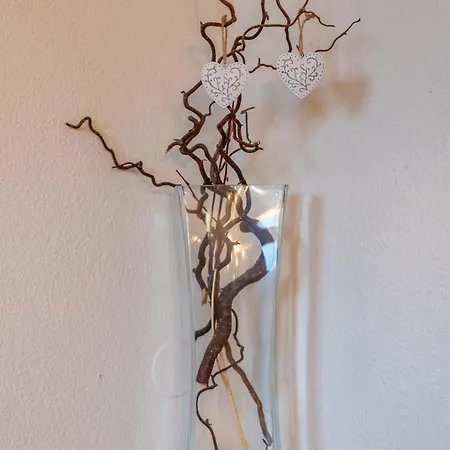 Sonne Im Johanna - Mayrhofen-hippach- In Der Naehe Von Der Skipiste Hippach