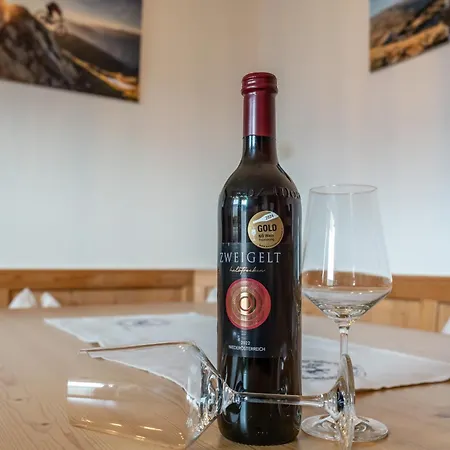 Sonne Im Johanna - Mayrhofen-hippach- In Der Naehe Von Der Skipiste Daire