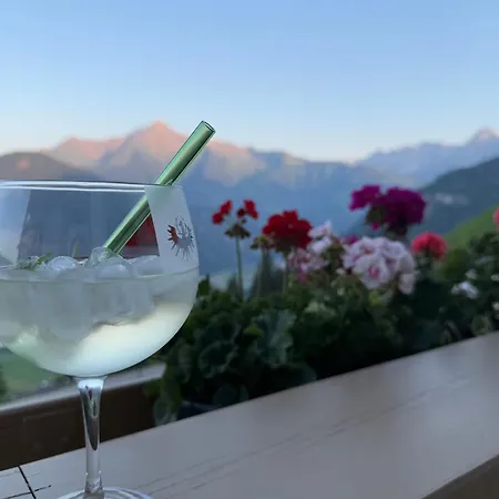 Sonne Im Johanna - Mayrhofen-hippach- In Der Naehe Von Der Skipiste Daire Hippach